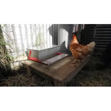 New Arrival Poultry Farm Nice Quality Automatic Chicken Treadle Feeder Treadle Chook Broiler Feeder Trough